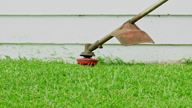 Lawn Irrigation Installation and Maintenance in Port Norris, NJ