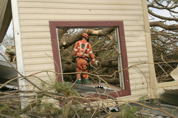 Best Stump Grinding and Removal  in Port Norris, NJ